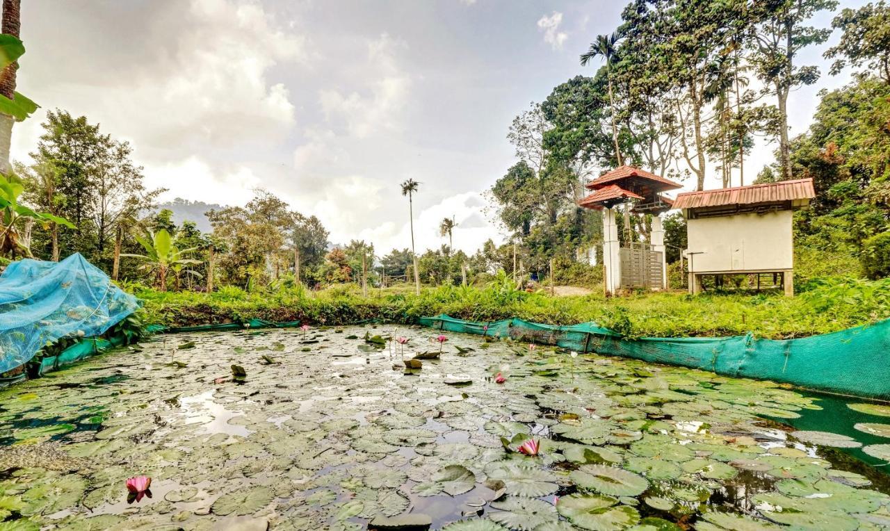 Treebo Tryst Jathika Resorts Kozhikode Exterior photo